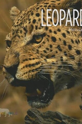 Cover of Leopards