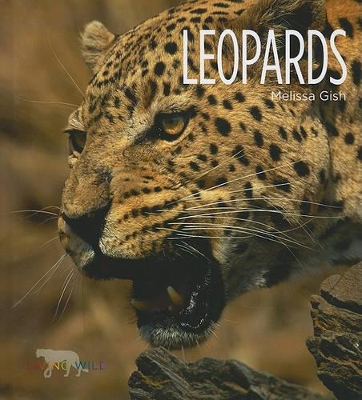 Book cover for Leopards