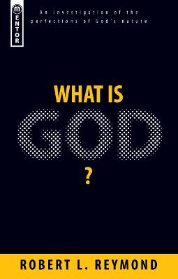 Book cover for What Is God?