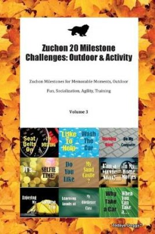 Cover of Zuchon 20 Milestone Challenges