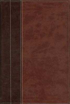 Cover of Archaeological Study Bible