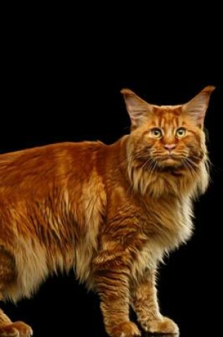 Cover of Maine Coon