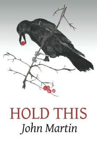 Cover of Hold This