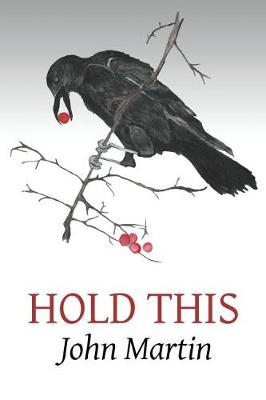 Book cover for Hold This