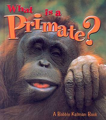 Book cover for What Is a Primate?