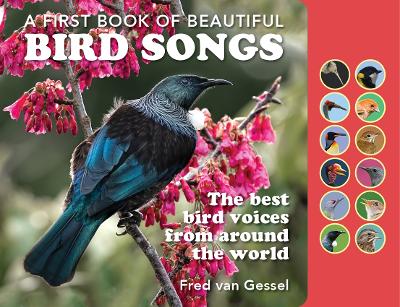 Book cover for A First Book of Beautiful Bird Songs
