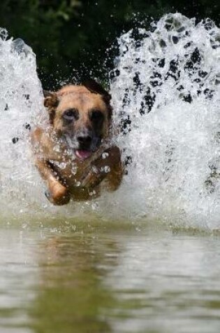 Cover of Belgian Shepherd Dog Malinois Playing in the Water Journal