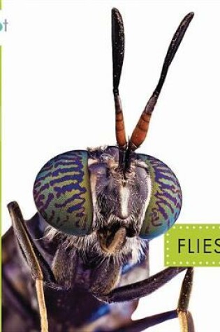 Cover of Flies