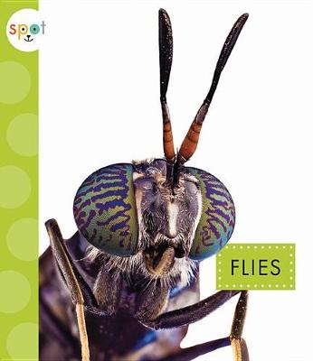 Cover of Flies