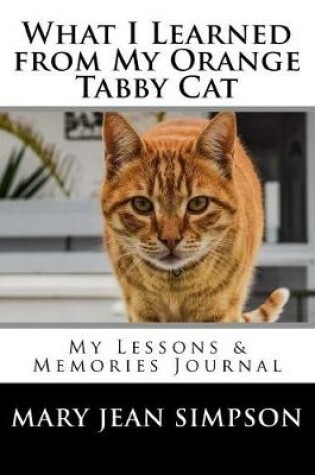 Cover of What I Learned from My Orange Tabby Cat