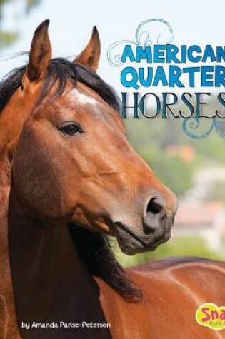 Cover of American Quarter Horses (Horse Breeds)