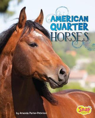 Book cover for American Quarter Horses (Horse Breeds)