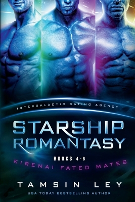 Book cover for Starship Romantasy