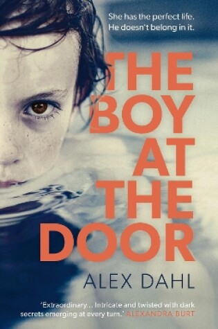 Cover of The Boy at the Door