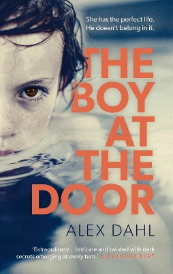 Book cover for The Boy at the Door