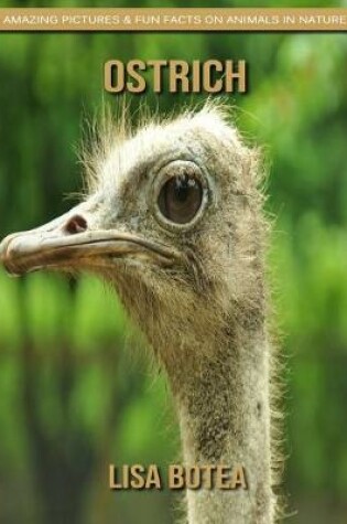 Cover of Ostrich