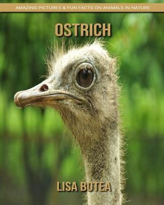 Book cover for Ostrich