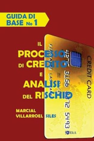 Cover of Guida Di Base Il Processo Di Credito E Analisi del Rischio