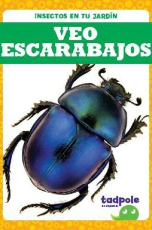 Cover of Veo Escarabajos (I See Beetles)