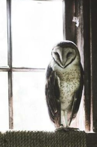 Cover of Barn Owl - Lined Notebook with Margins - 5