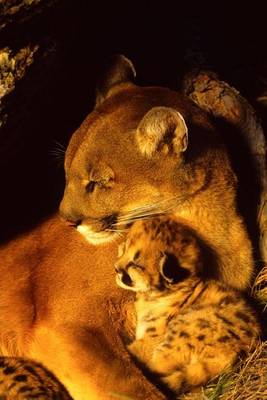 Book cover for Mama Mountain Lion and Her Baby Kitten in the Den Journal