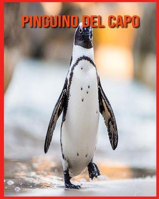 Book cover for Pinguino del Capo