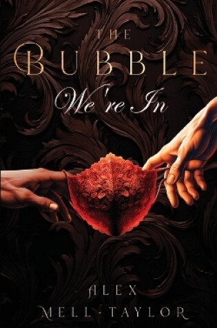 Cover of The Bubble We're In