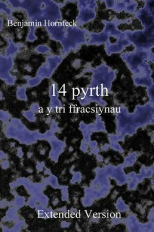 Cover of 14 Pyrth A Y Tri Ffracsiynau Extended Version