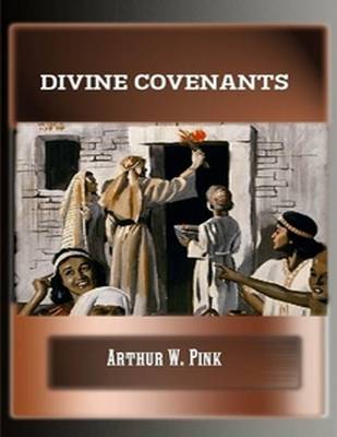 Book cover for Divine Covenants