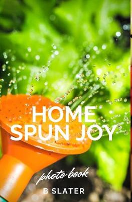 Book cover for Home Spun Joy