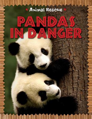Book cover for Animal Rescue: Pandas in Danger