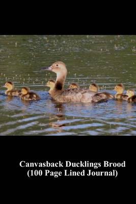 Book cover for Canvasback Ducklings Brood (100 Page Lined Journal)