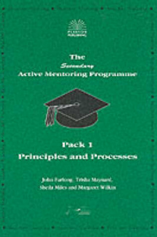 Cover of Secondary Active Mentoring Programme