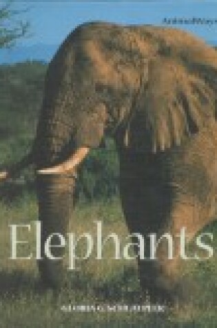 Cover of Elephants