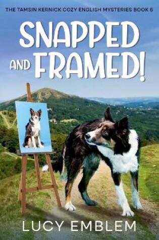 Cover of Snapped and Framed!