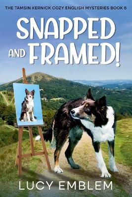 Cover of Snapped and Framed!