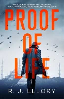 Book cover for Proof of Life