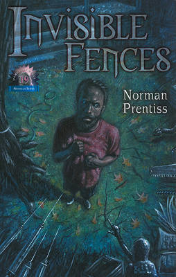 Book cover for Invisible Fences