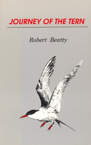 Book cover for Journey of the Tern