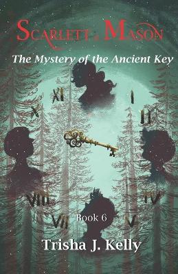 Book cover for The mystery of the ancient key