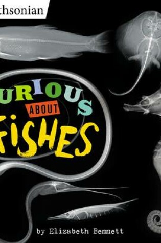 Cover of Curious About Fishes