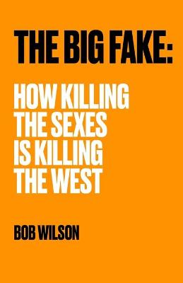 Book cover for The Big Fake