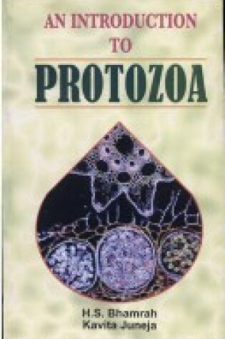 Cover of An Introduction to Protozoa