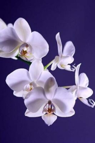 Cover of White Orchid Against Blue Backdrop, for the Love of Flowers