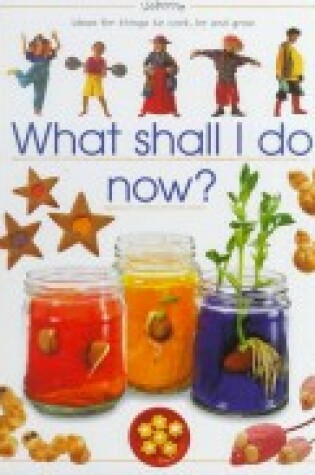 Cover of What Shall I Do Now?