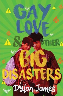 Book cover for Gay Love and Other Big Disasters