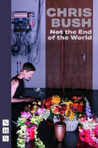 Cover of (Not) the End of the World