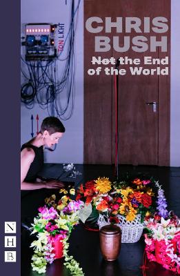 Book cover for (Not) the End of the World