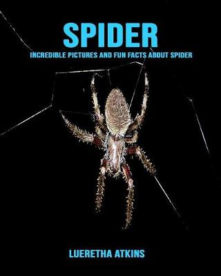 Book cover for Spider