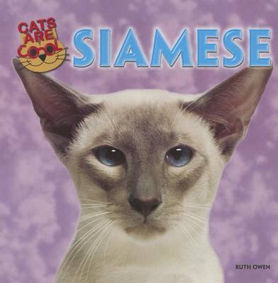 Book cover for Siamese